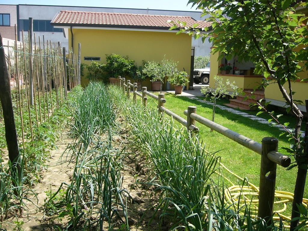 Nonna Alda Bed and Breakfast Viareggio Rum bild