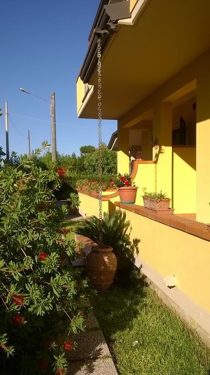 Nonna Alda Bed and Breakfast Viareggio Exteriör bild
