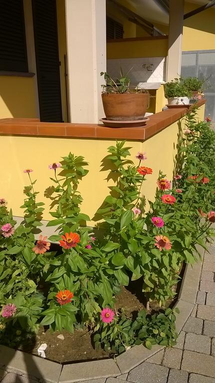 Nonna Alda Bed and Breakfast Viareggio Exteriör bild